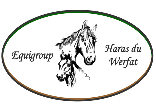 Equigroup - Haras du Werfat